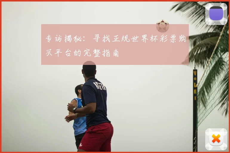 专访揭秘：寻找正规世界杯彩票购买平台的完整指南