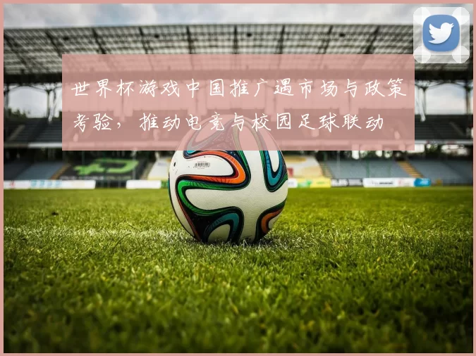 世界杯游戏中国推广遇市场与政策考验，推动电竞与校园足球联动