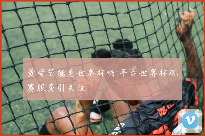 爱奇艺能看世界杯吗 平台世界杯观赛服务引关注