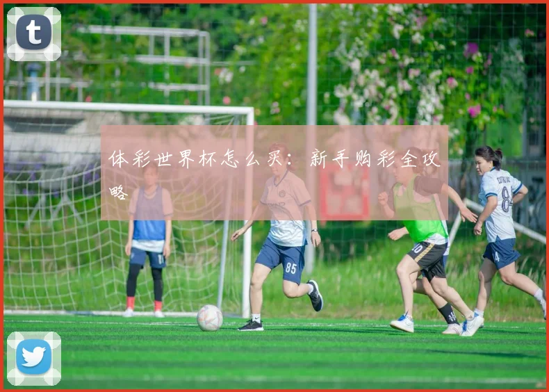 体彩世界杯怎么买：新手购彩全攻略