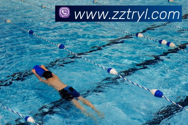 App Interface Preview